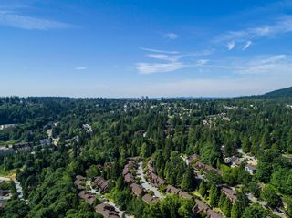 Photo 49: 1623 GORE Street in Port Moody: College Park PM House for sale : MLS®# R2186517