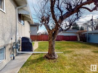 Photo 43: 10132 72 Street in Edmonton: Zone 19 House for sale : MLS®# E4294759