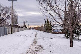 Photo 49: 278 COVENTRY Court NE in Calgary: Coventry Hills Detached for sale : MLS®# C4219338