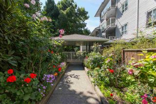 Photo 7: 102 5577 SMITH Avenue in Burnaby: Central Park BS Condo for sale in "Cottonwood Grove" (Burnaby South)  : MLS®# R2481228