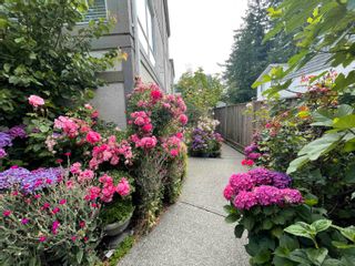 Photo 2: 3 1552 EVERALL Street: White Rock Townhouse for sale in "EVERALL COURT" (South Surrey White Rock)  : MLS®# R2616218