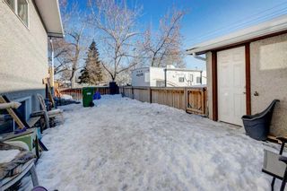 Photo 31: 4401 Greenview Drive NE in Calgary: Greenview Semi Detached (Half Duplex) for sale : MLS®# A2104661