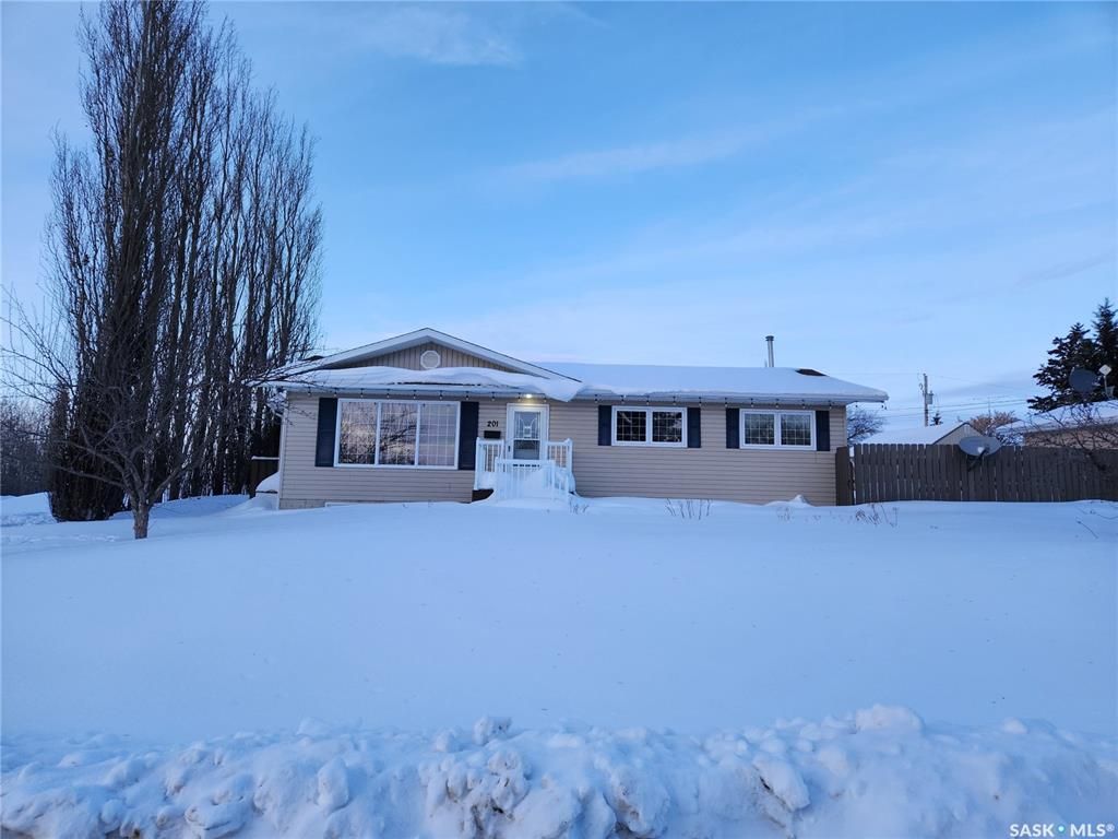 Main Photo: 201 Centre Street in Sylvania: Residential for sale : MLS®# SK916152