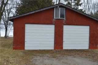 Photo 6: 99 Campbell Beach Road in Kawartha Lakes: Rural Carden Property for sale : MLS®# X4081023