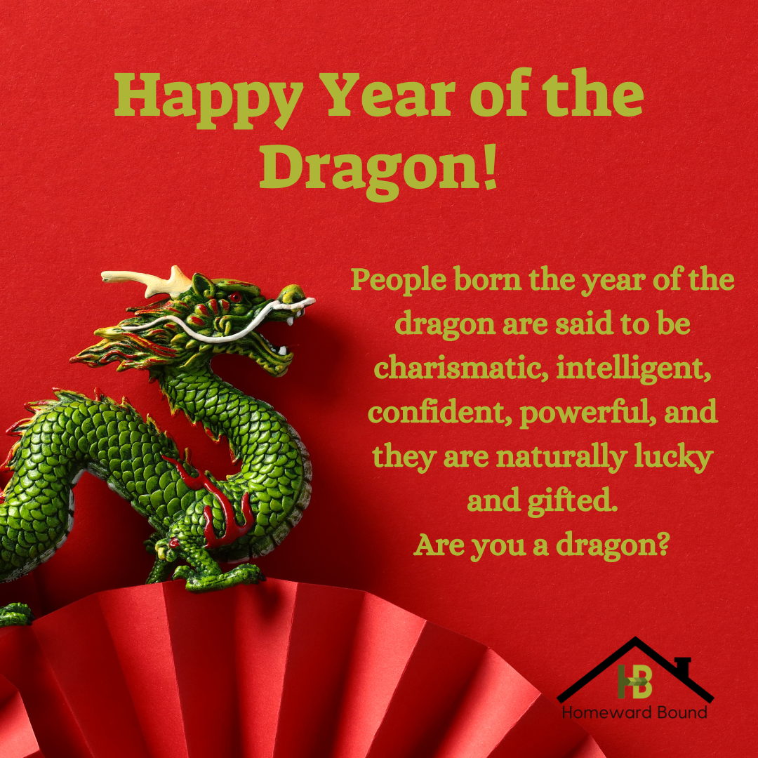 Happy Year of the Dragon!