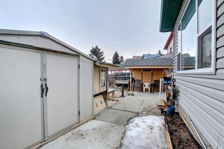 Photo 40: 813 Applewood Drive SE in Calgary: Applewood Park Detached for sale : MLS®# A1076322