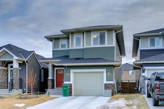 Photo 41: 456 Bayview Way SW: Airdrie Detached for sale : MLS®# A1177678