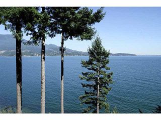 Photo 19: 779 TAYLOR ROAD: Bowen Island House for sale : MLS®# V1131681