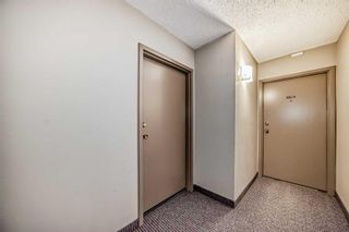 Photo 33: 1413 4944 Dalton Drive NW in Calgary: Dalhousie Apartment for sale : MLS®# A2131476