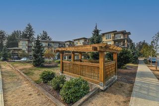 Photo 39: 206 2565 CAMPBELL Avenue in Abbotsford: Central Abbotsford Condo for sale in "Abacus Uptown" : MLS®# R2733889