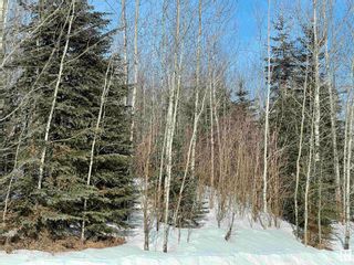 Photo 28: 231 Rge Rd, 624 Twp Rd: Rural Athabasca County Rural Land/Vacant Lot for sale : MLS®# E4281157