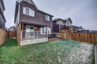 Photo 33: 273 Sage Meadows Park NW in Calgary: Sage Hill Detached for sale : MLS®# A2128029