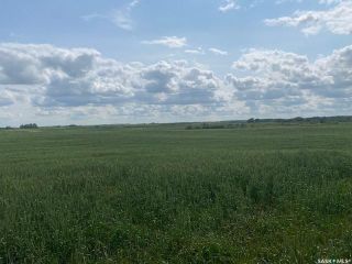 Photo 3: Murray Land in Mcleod: Farm for sale (Mcleod Rm No. 185)  : MLS®# SK948843
