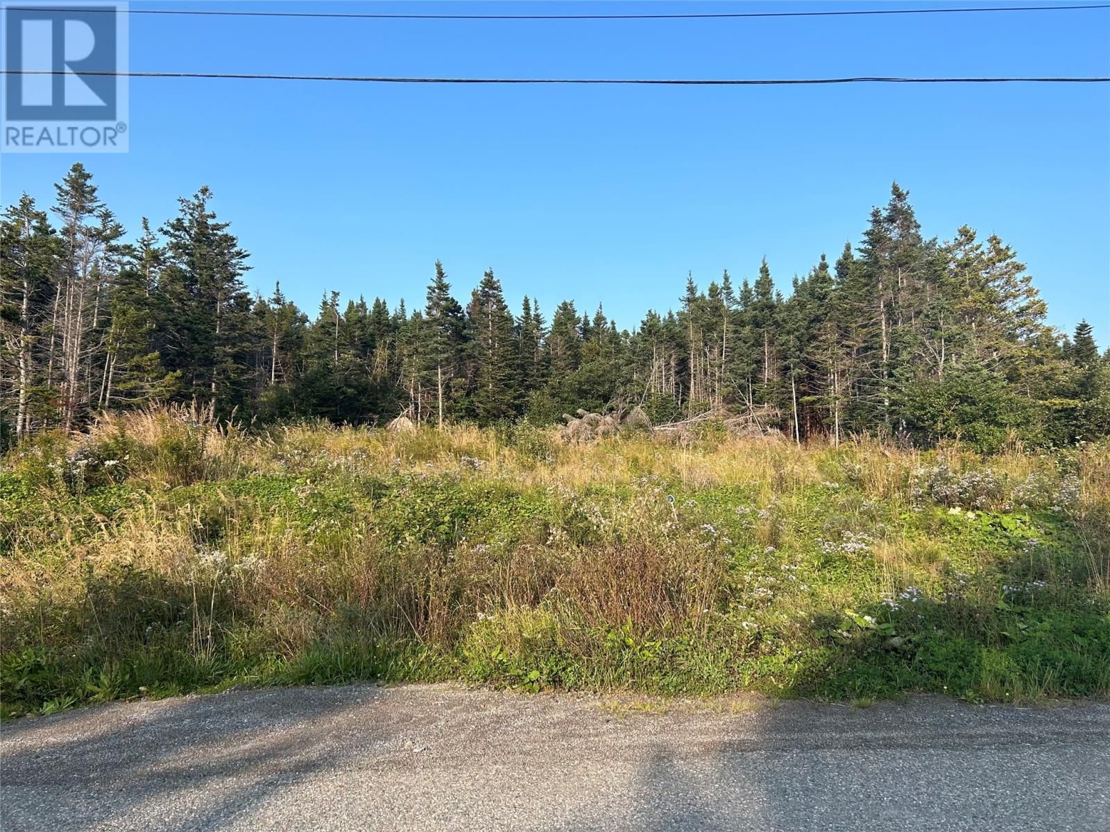 Main Photo: 135-137 Lower Cove Road in McIvers: Vacant Land for sale : MLS®# 1263819