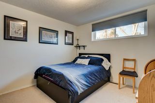 Photo 28: 2627 63 Avenue SW in Calgary: Lakeview Detached for sale : MLS®# A1178501