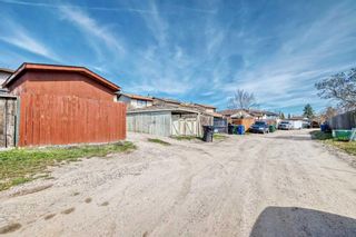 Photo 35: 35 Templemont Drive NE in Calgary: Temple Semi Detached (Half Duplex) for sale : MLS®# A2130143