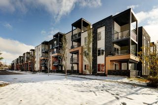 Main Photo: 1202 1317 27 Street SE in Calgary: Albert Park/Radisson Heights Apartment for sale : MLS®# A2007924