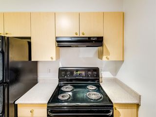 Photo 14: 3208 2280 68 Street NE in Calgary: Monterey Park Apartment for sale : MLS®# A1076085