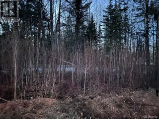 Photo 5: Lot Melville Road in Oakland: Vacant Land for sale : MLS®# NB085690