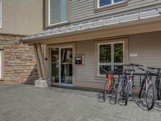 Photo 25: 109 1156 Colville Rd in Esquimalt: Es Gorge Vale Condo for sale : MLS®# 851602