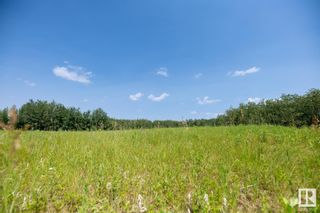 Photo 14: 23246 TWP  RD 521A: Rural Strathcona County Vacant Lot/Land for sale : MLS®# E4384068