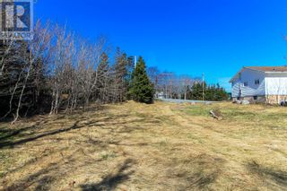 Photo 10: 1176 Torbay Road in Torbay: Other for sale : MLS®# 1257831