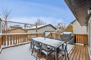 Photo 31: 85 Big Springs Drive SE: Airdrie Detached for sale : MLS®# A2127713