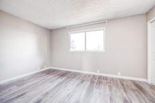 Photo 19: 216 Bermuda Drive NW in Calgary: Beddington Heights Semi Detached (Half Duplex) for sale : MLS®# A1227778