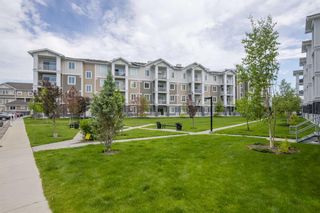 Photo 23: 4210 522 Cranford Drive SE in Calgary: Cranston Apartment for sale : MLS®# A1236263