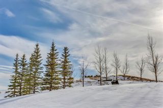 Photo 44:  in Calgary: Sherwood House for sale : MLS®# C4167078
