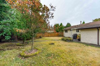 Photo 30: 20134 44A Avenue in Langley: Langley City House for sale : MLS®# R2734393