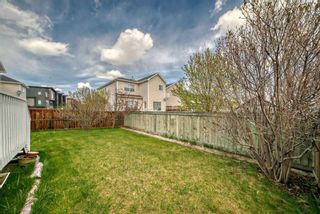 Photo 48: 10 Royal Elm Drive NW in Calgary: Royal Oak Detached for sale : MLS®# A2134931