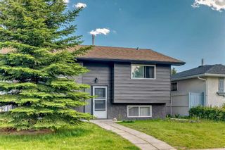 Photo 4: 6027 18 Avenue NE in Calgary: Pineridge Detached for sale : MLS®# A2144288