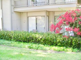 Photo 1: 1 Cerrito in Irvine: Residential for sale (SJ - Rancho San Joaquin)  : MLS®# OC18268658