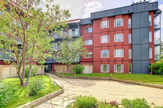 Main Photo: 314 333 Garry Crescent NE in Calgary: Greenview Apartment for sale : MLS®# A1252949