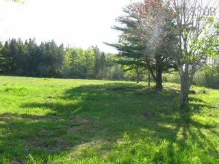 Photo 3: - Patterson Hill Road in Greenhill: 108-Rural Pictou County Vacant Land for sale (Northern Region)  : MLS®# 202210029