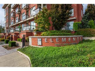 Photo 38: C310 20211 66 Avenue in Langley: Willoughby Heights Condo for sale in "Elements" : MLS®# R2501284