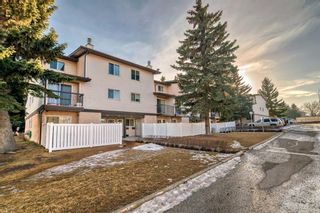 Photo 39: 15 3745 Fonda Way SE in Calgary: Forest Heights Row/Townhouse for sale : MLS®# A2115596