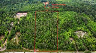 Photo 3: 6250 Eagle Bay Road, in Eagle Bay: Vacant Land for sale : MLS®# 10273744
