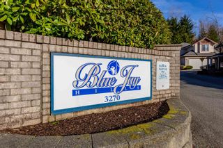 Photo 1: 12 3270 BLUE JAY Street in Abbotsford: Abbotsford West Townhouse for sale in "Blue Jay Hills" : MLS®# R2649863