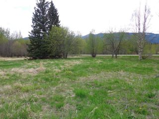 Photo 5: 2880 MOUNTAIN VIEW Road in McBride: McBride - Town Land for sale (Robson Valley)  : MLS®# R2879829