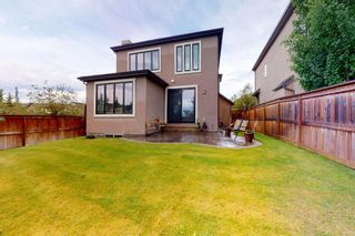 Photo 47: 9 Cranridge Terrace in Calgary: Cranston Detached for sale : MLS®# A1231285