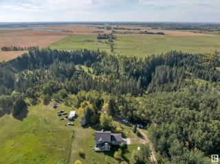 Photo 46: 29 240073 TWP RD 471: Rural Wetaskiwin County House for sale : MLS®# E4358247