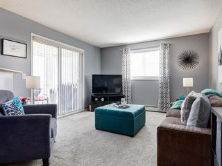 Photo 19: 3426 10 PRESTWICK Bay SE in Calgary: McKenzie Towne Apartment for sale : MLS®# A1023715