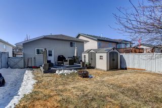 Photo 28: 44 Woodside Crescent NW: Airdrie Detached for sale : MLS®# A2034716