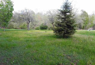 Photo 4: 11 Palmer Road in Harmony: 404-Kings County Vacant Land for sale (Annapolis Valley)  : MLS®# 202006110