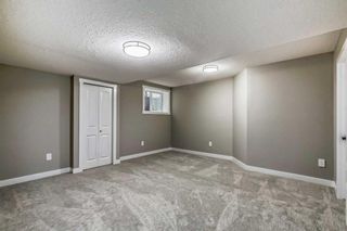 Photo 31: 143 Crystal Green Drive: Okotoks Detached for sale : MLS®# A2075300