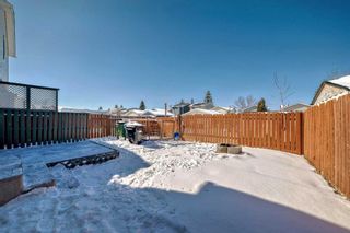 Photo 31: 76 Martinbrook Road NE in Calgary: Martindale Detached for sale : MLS®# A2119222