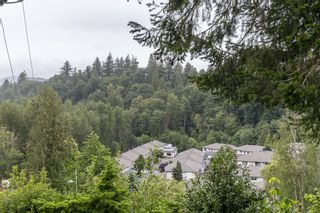 Photo 21: 6 3292 ELMWOOD Drive in Abbotsford: Central Abbotsford Townhouse for sale in "Sequestra Estates" : MLS®# R2893219