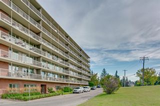 Photo 38: 203/204 3339 Rideau Place SW in Calgary: Rideau Park Apartment for sale : MLS®# A2018513